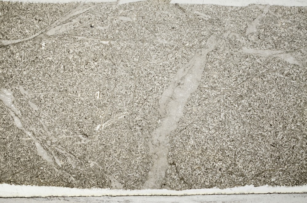 Plane Polarized, S67519