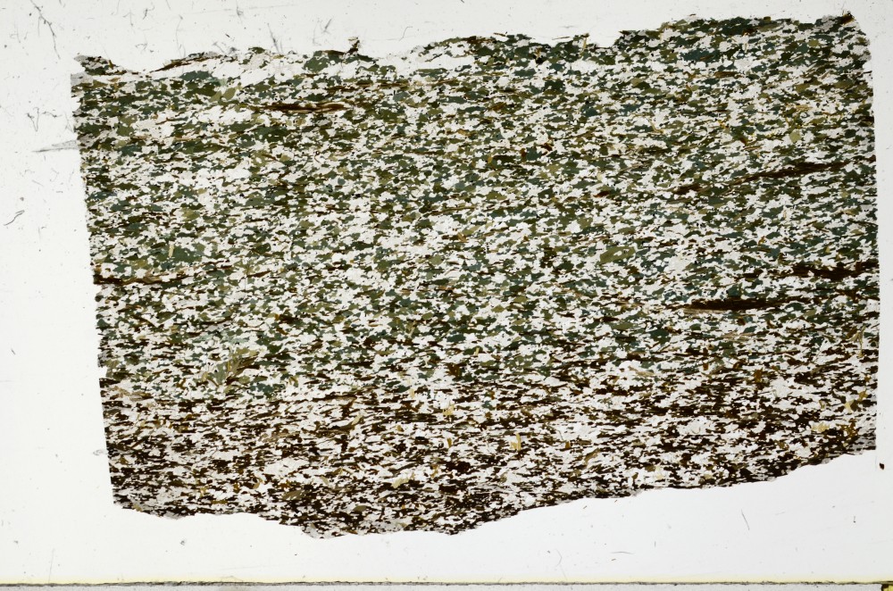 Plane Polarized, S67548