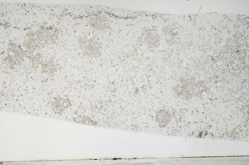 Plane Polarized, S67561