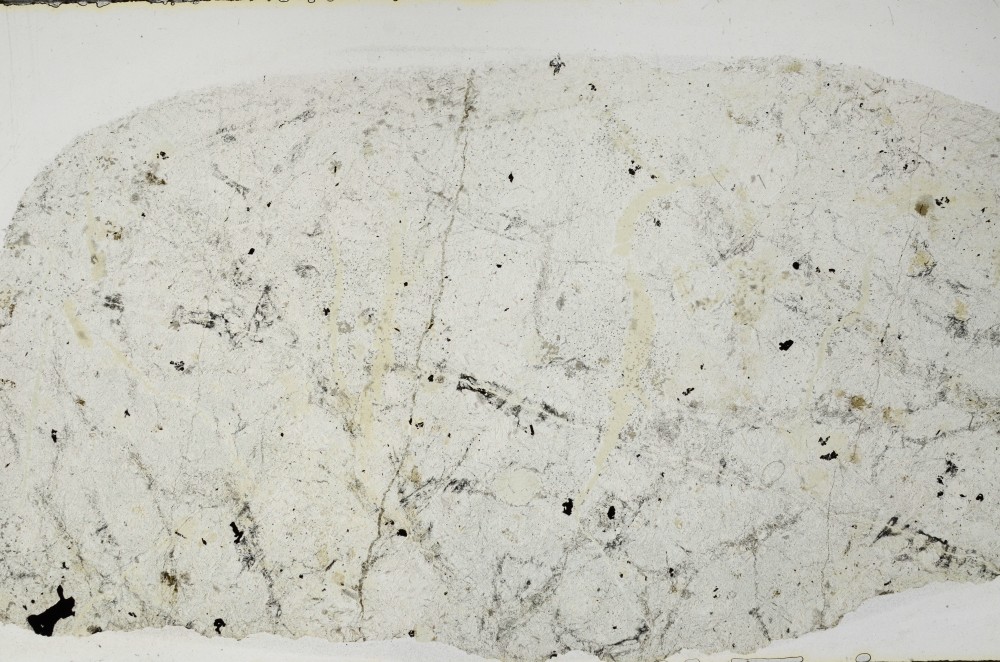 Plane Polarized, S67624