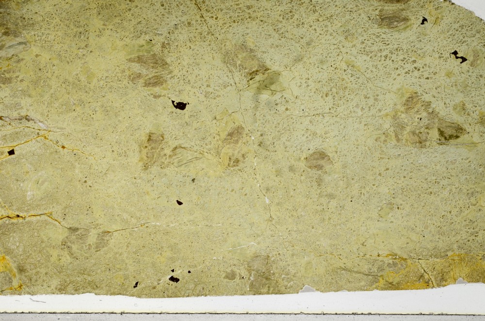 Plane Polarized, S67630