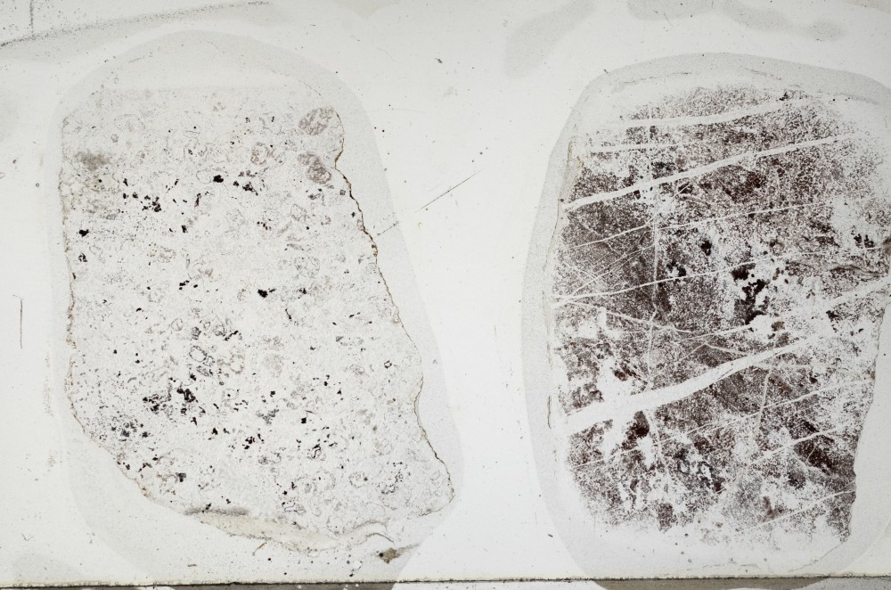 Plane Polarized, S67665