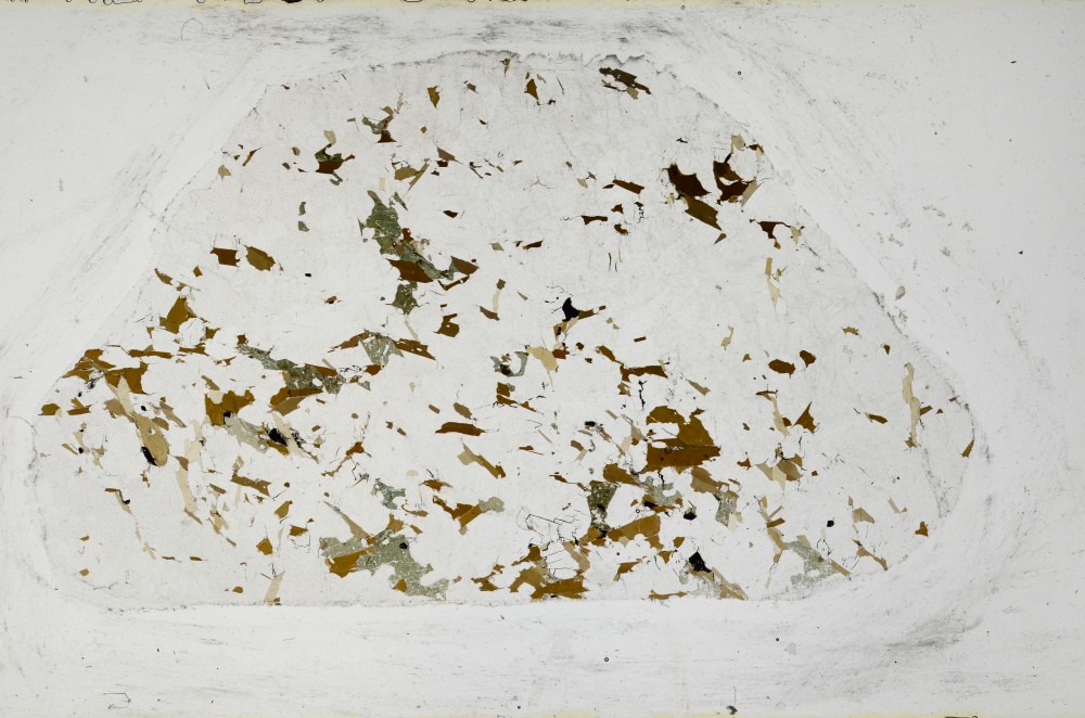 Plane Polarized, S67676