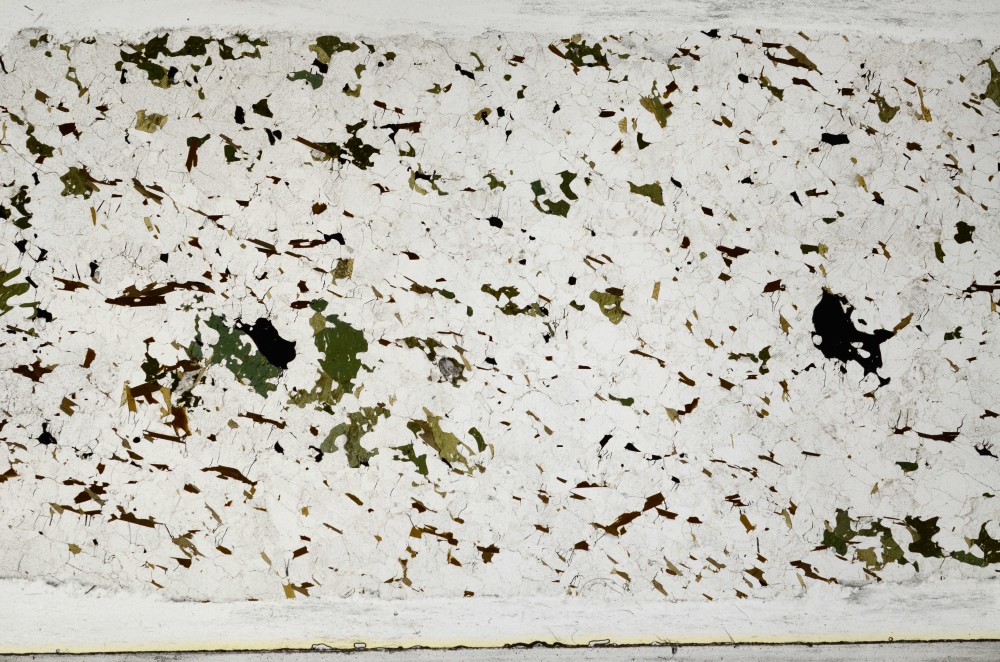 Plane Polarized, S67677