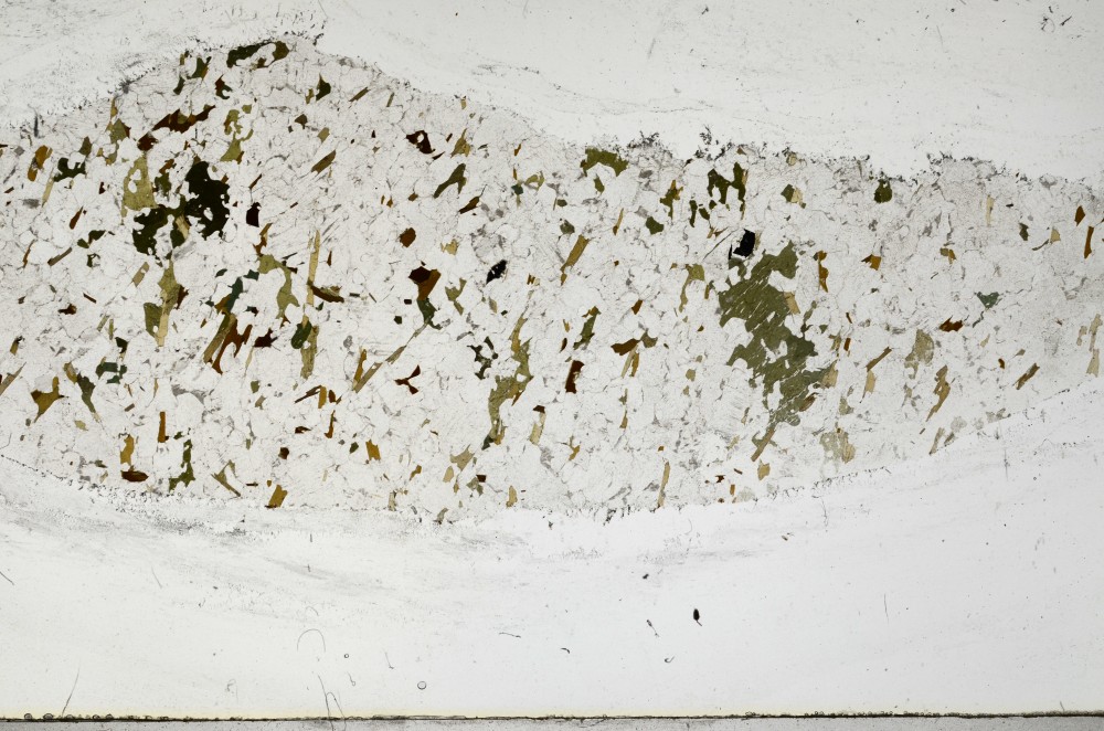 Plane Polarized, S67678