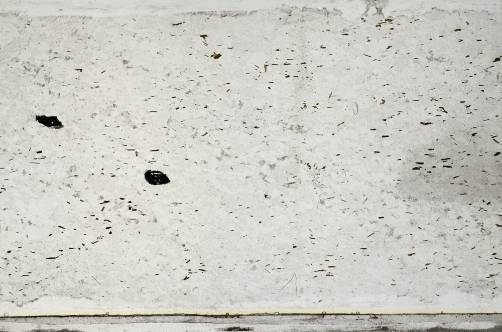 Plane Polarized, S67683