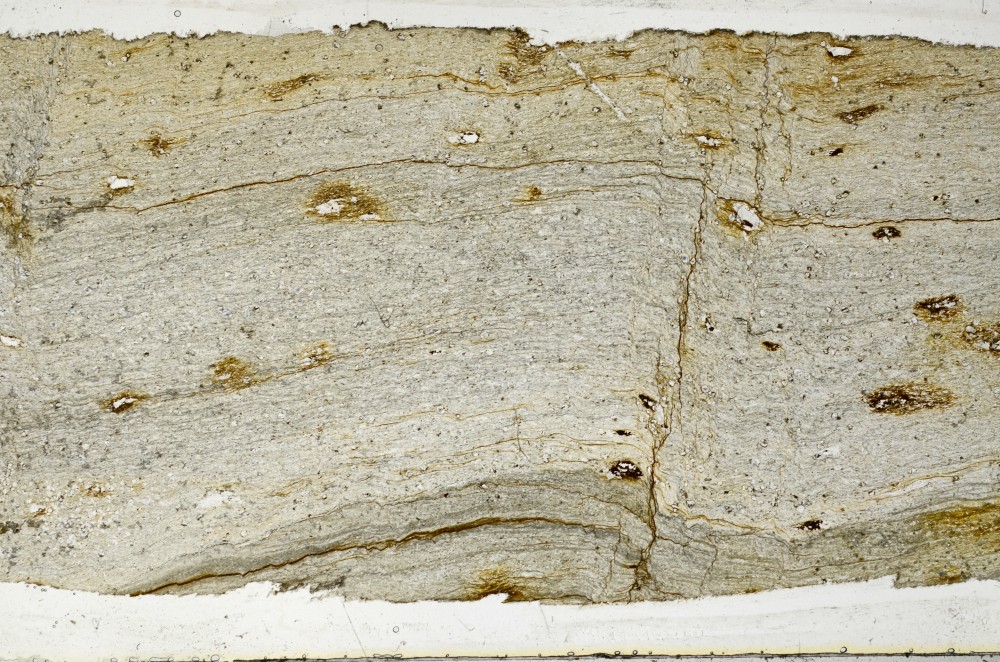 Plane Polarized, S67695
