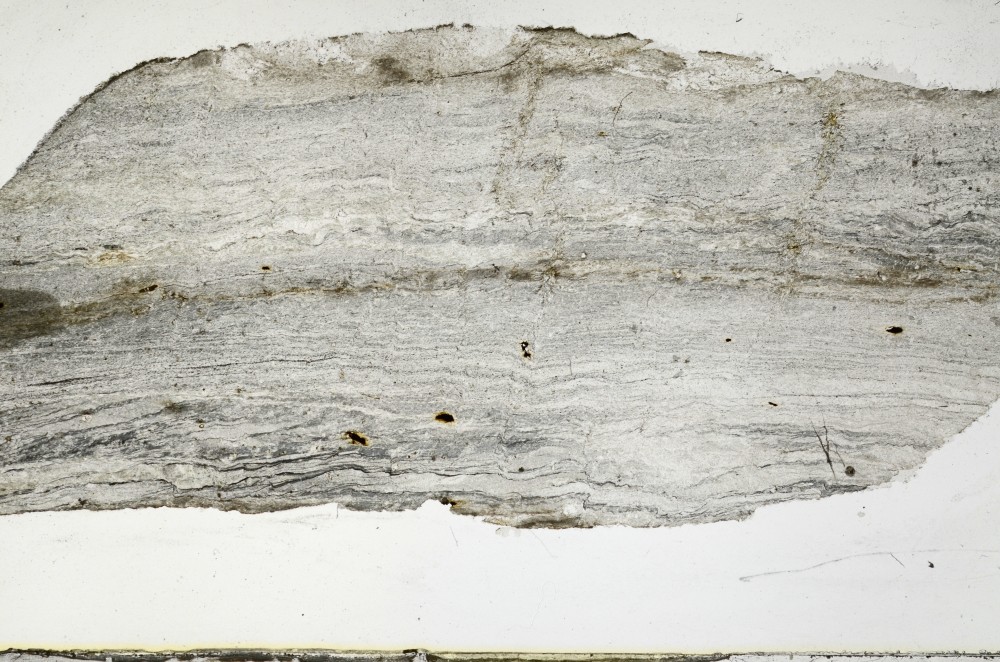 Plane Polarized, S67696