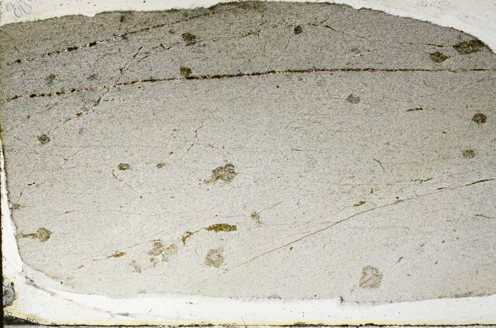 Plane Polarized, S67697