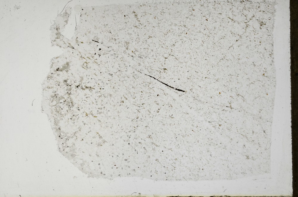 Plane Polarized, S67705