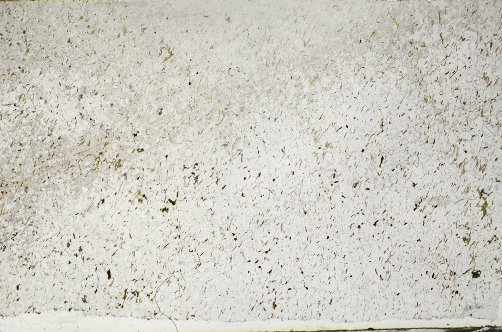 Plane Polarized, S67708/A