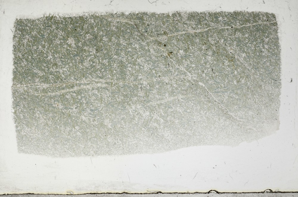 Plane Polarized, S67733/A