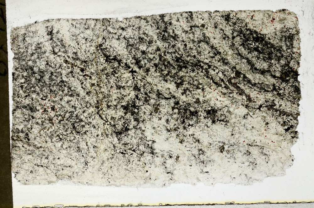 Plane Polarized, S67734
