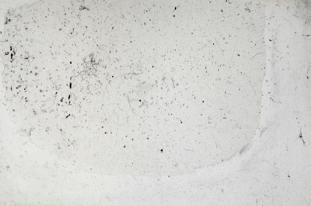Plane Polarized, S67738