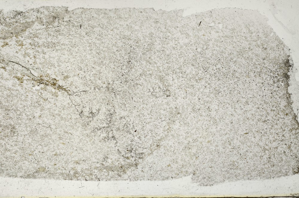 Plane Polarized, S67742