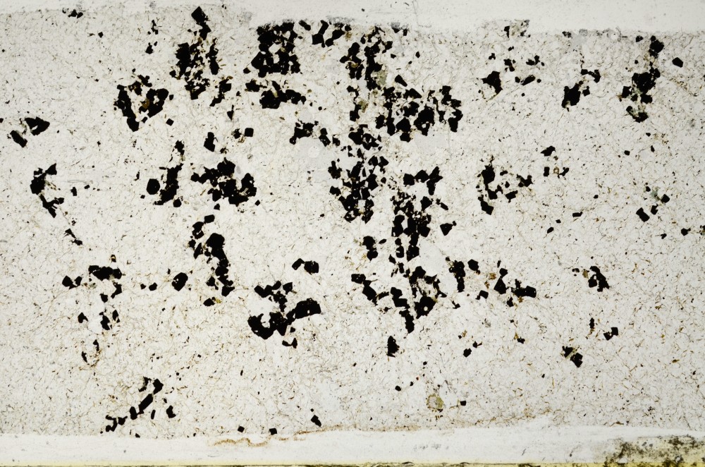 Plane Polarized, S67745
