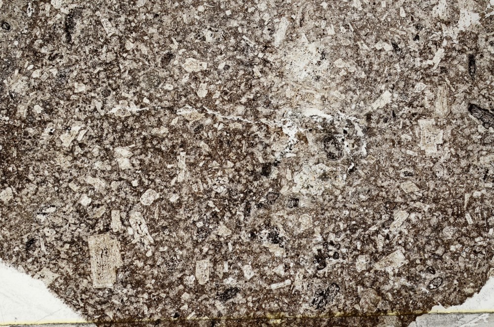 Plane Polarized, S67833