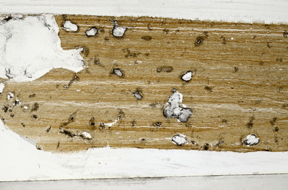 Plane Polarized, S67839