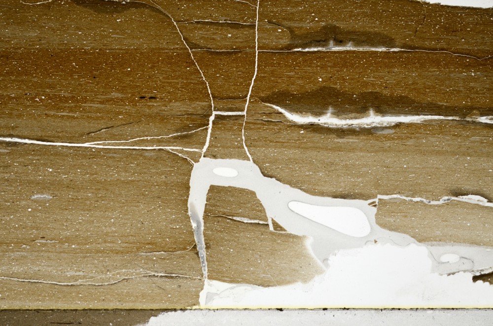 Plane Polarized, S67840