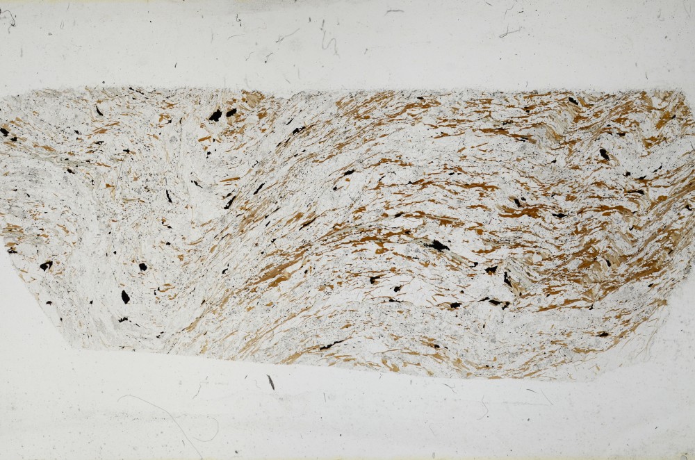 Plane Polarized, S67918
