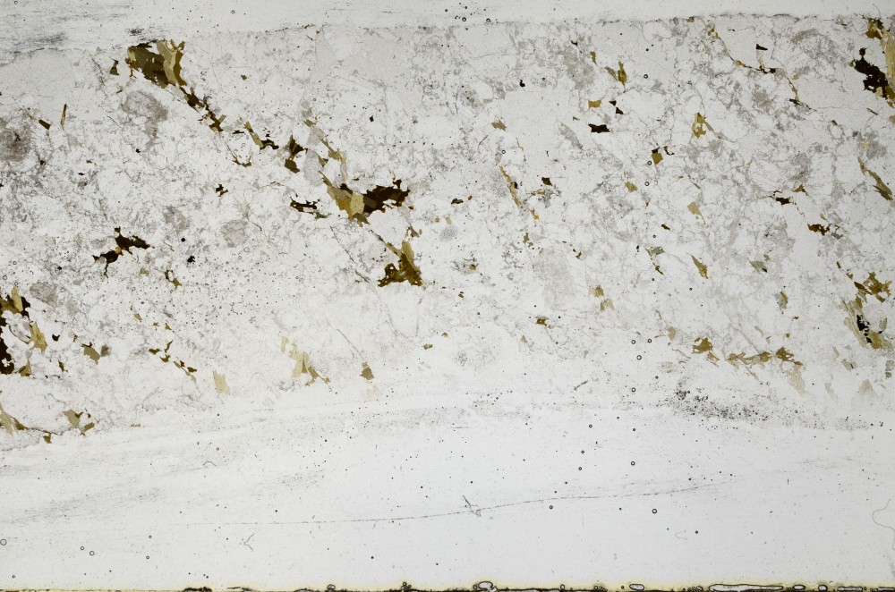 Plane Polarized, S67922