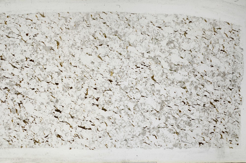 Plane Polarized, S67923