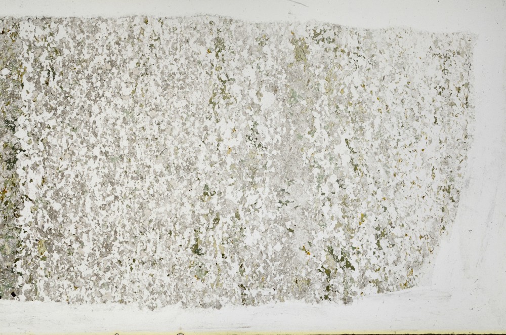 Plane Polarized, S67924