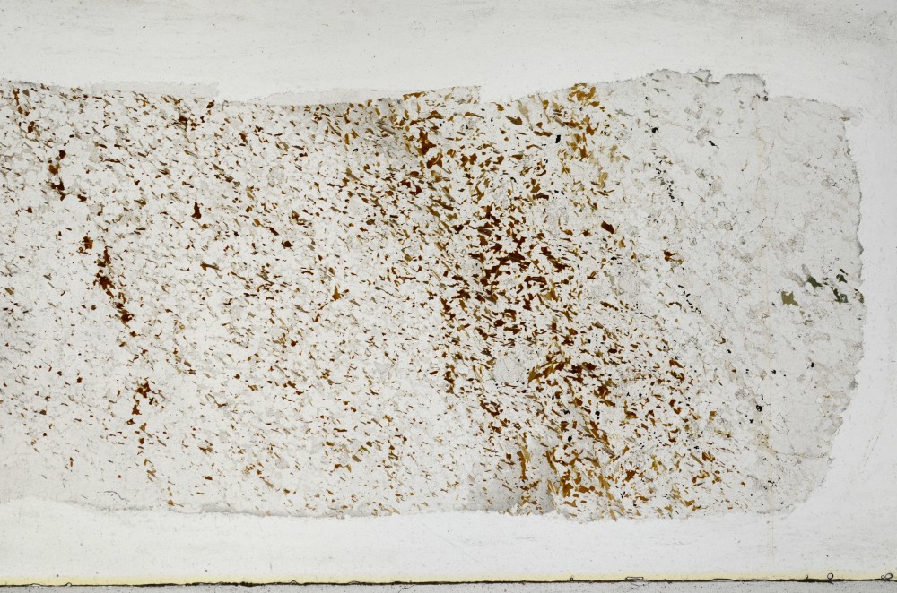 Plane Polarized, S67925