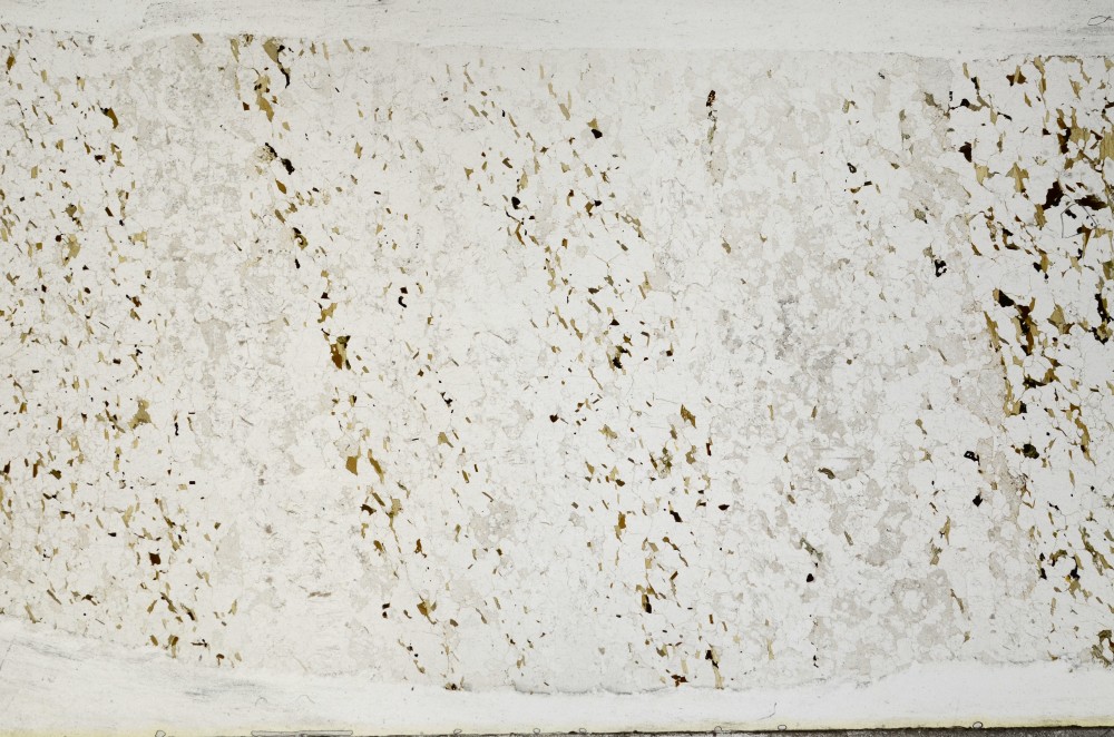 Plane Polarized, S67926