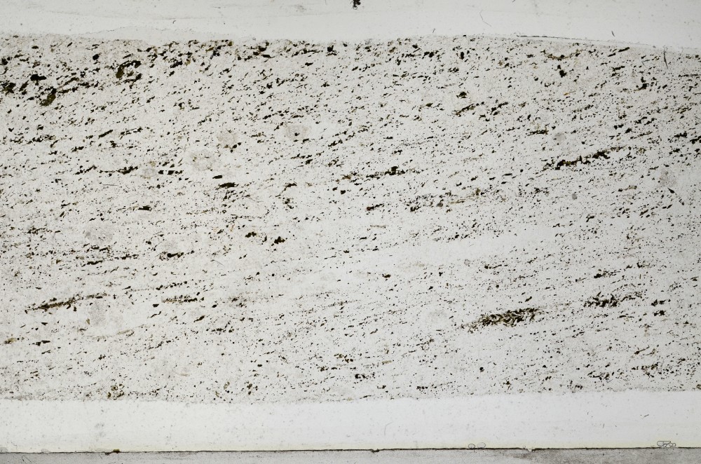 Plane Polarized, S67931