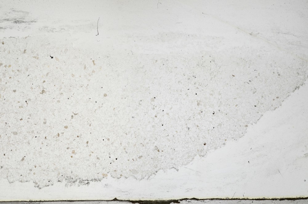 Plane Polarized, S68101