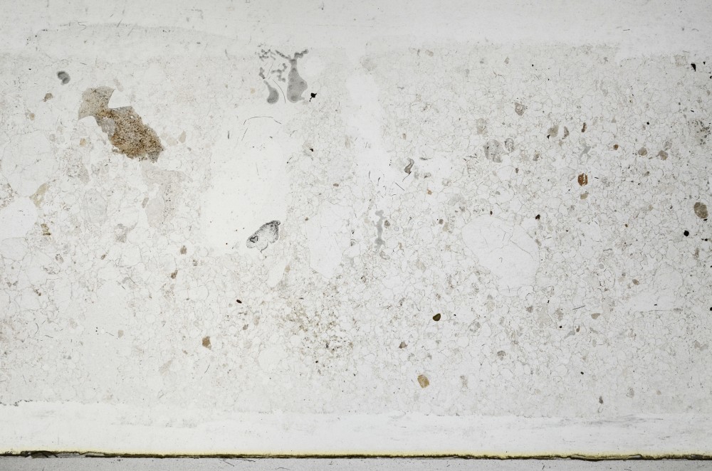 Plane Polarized, S68104