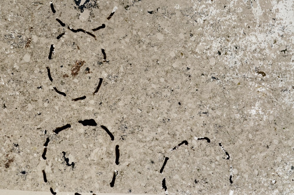 Plane Polarized, S68136