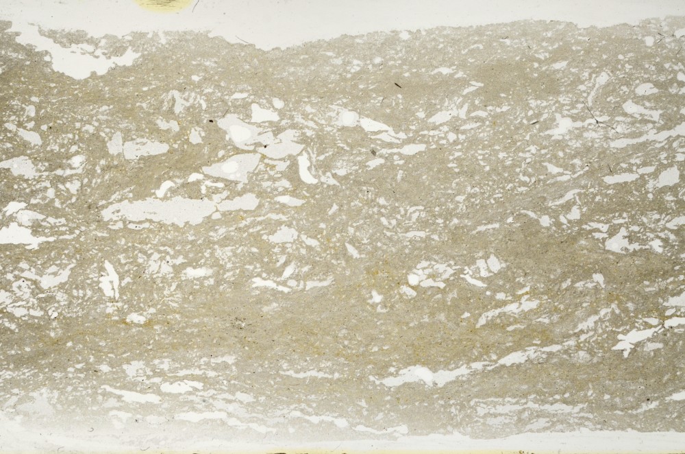 Plane Polarized, S68270
