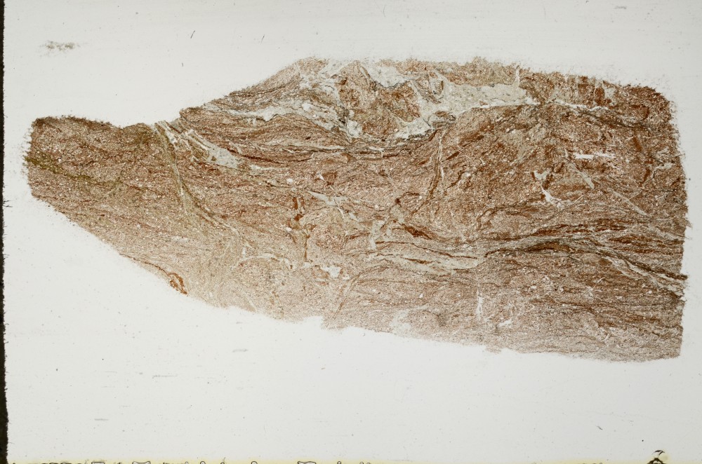 Plane Polarized, S68289
