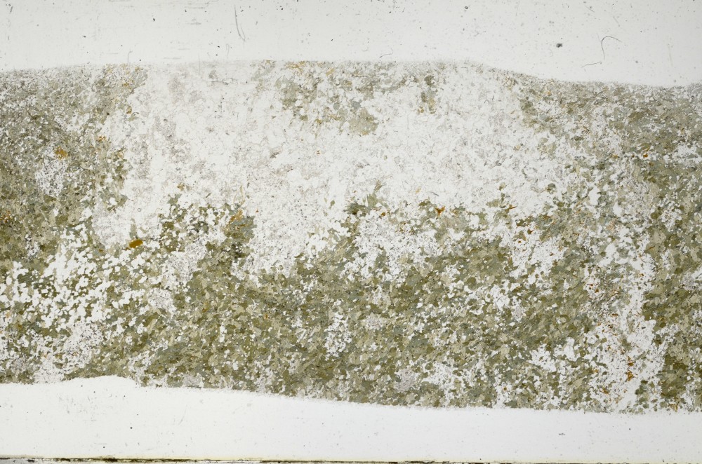 Plane Polarized, S68360