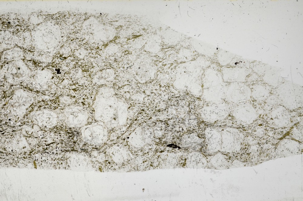 Plane Polarized, S68364
