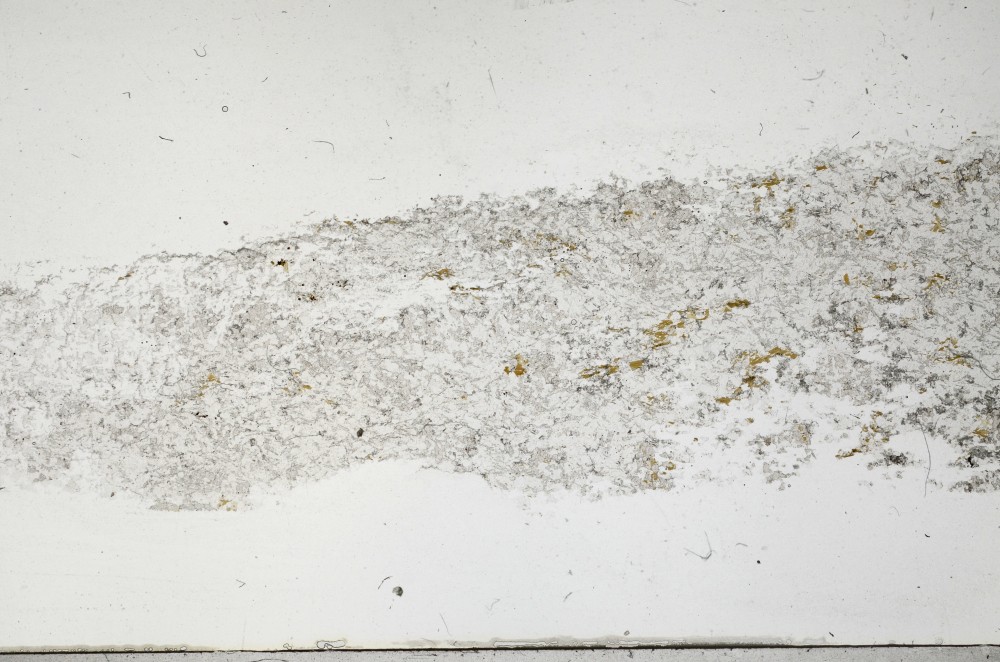 Plane Polarized, S68370