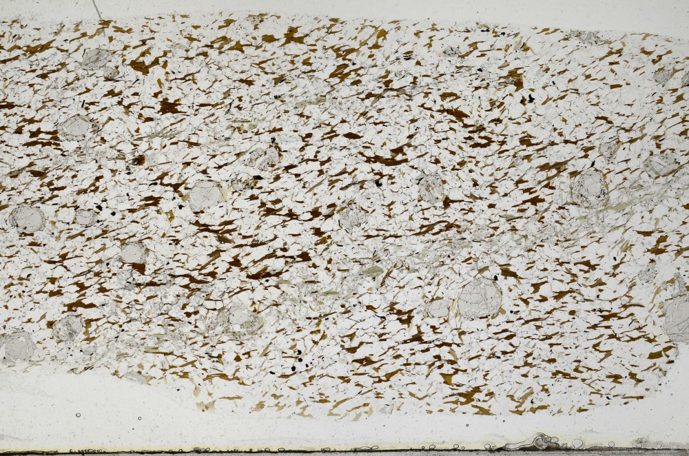 Plane Polarized, S68373