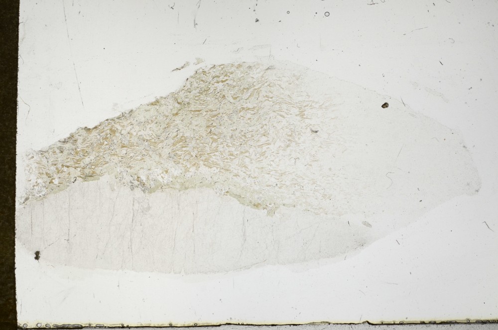 Plane Polarized, S68375