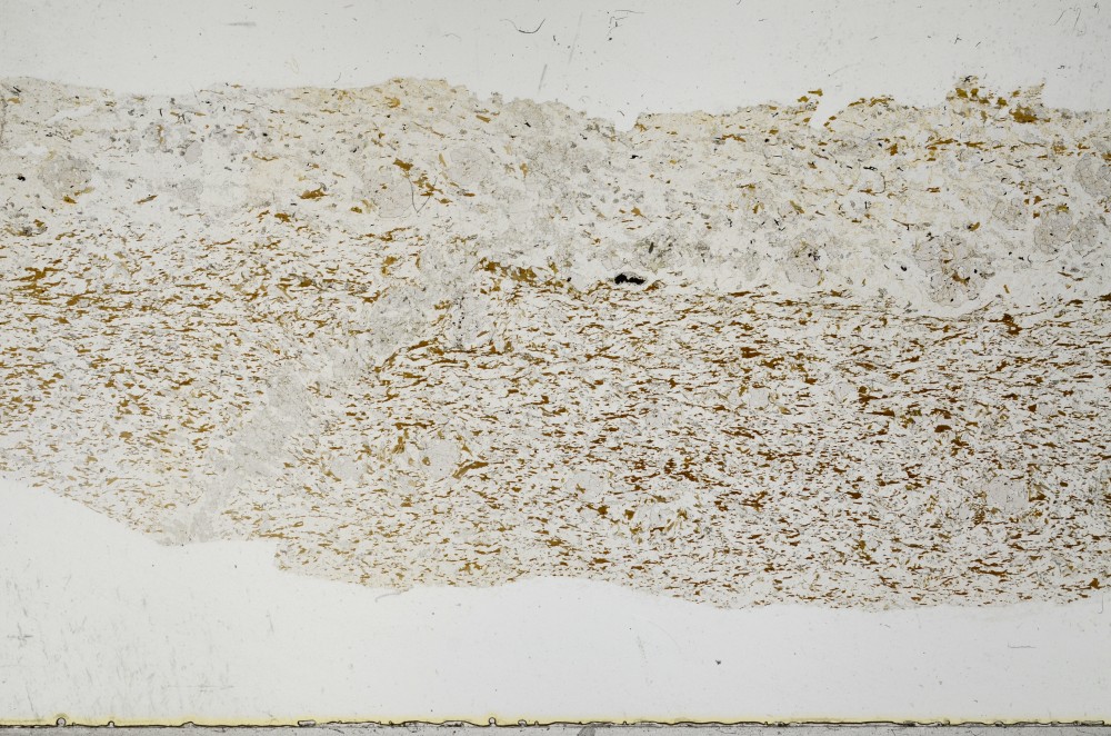 Plane Polarized, S68378