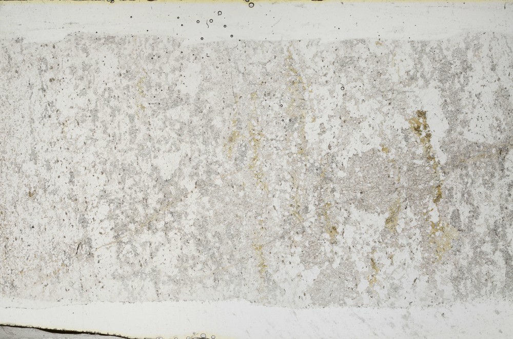 Plane Polarized, S68380