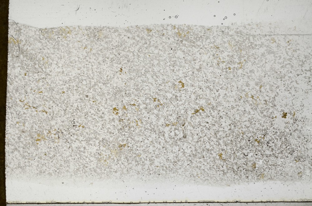 Plane Polarized, S68381