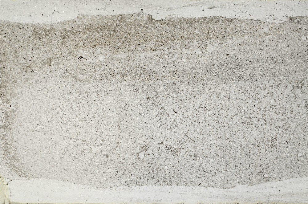 Plane Polarized, S68384