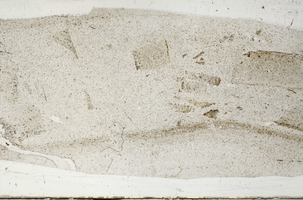 Plane Polarized, S68385