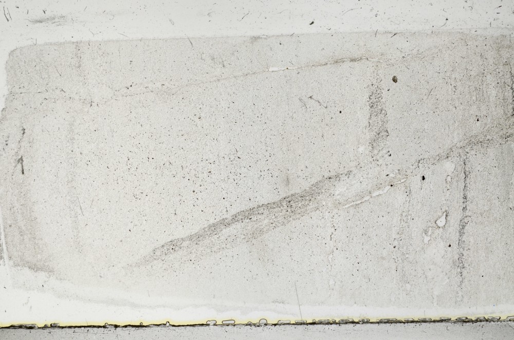 Plane Polarized, S68386