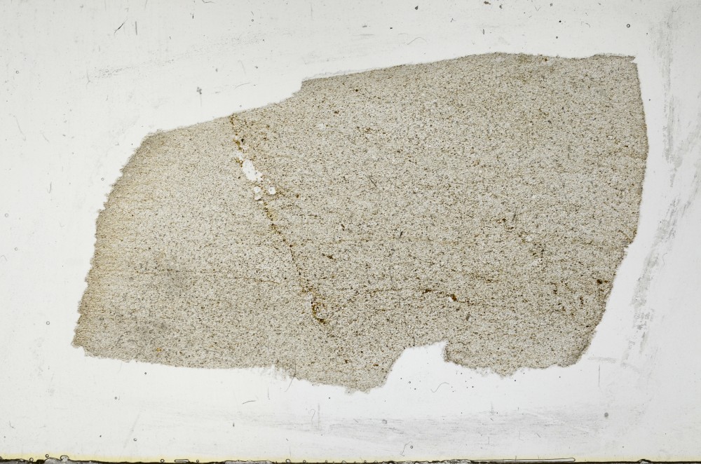 Plane Polarized, S68387