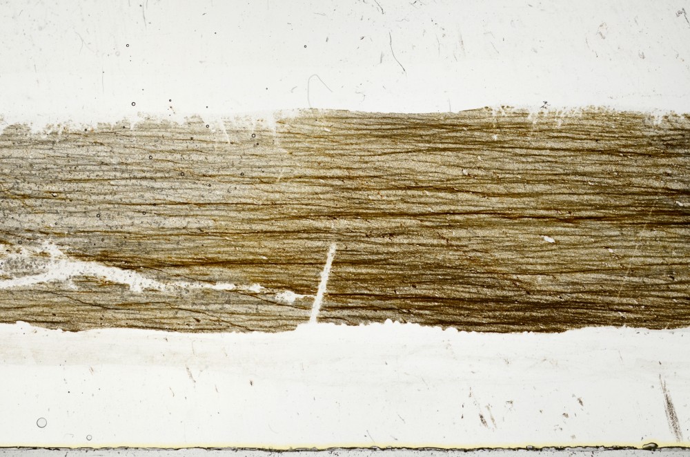 Plane Polarized, S68388