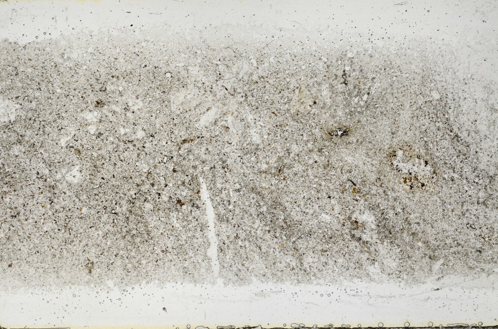 Plane Polarized, S68391
