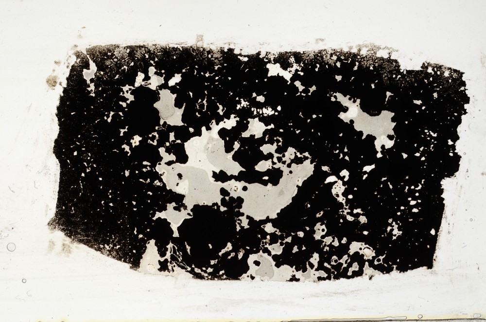 Plane Polarized, S68401
